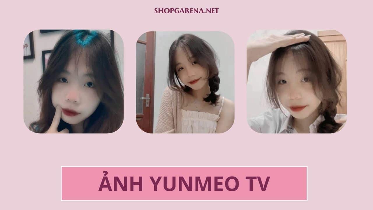 Ảnh Yunmeo TV