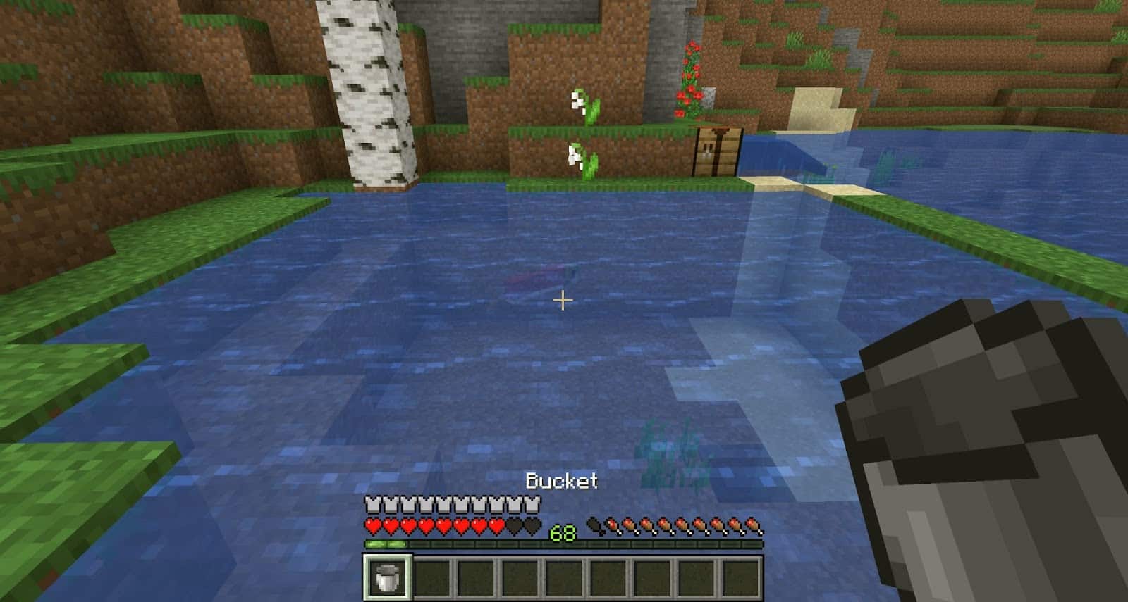 Bắt cá bằng xô trong Minecraft