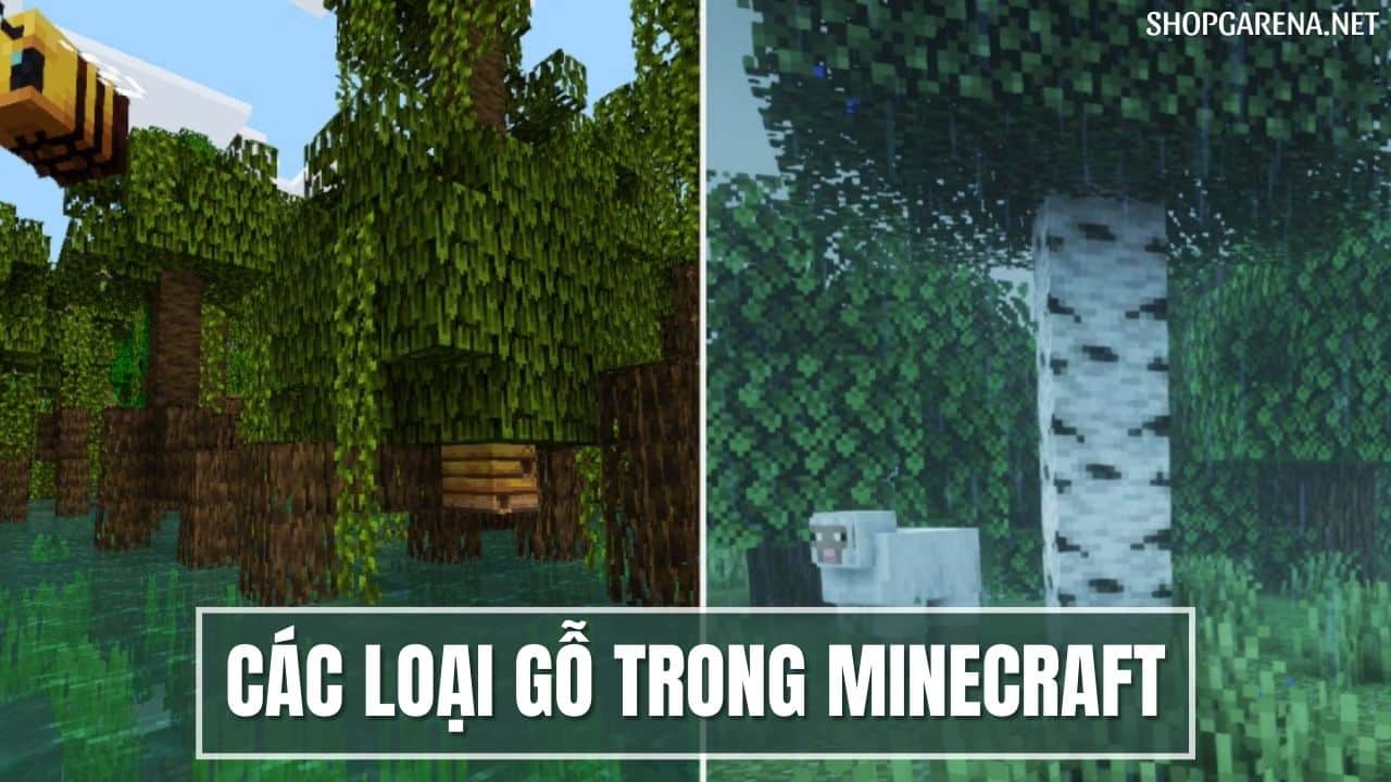 Các Loại Gỗ Trong Minecraft