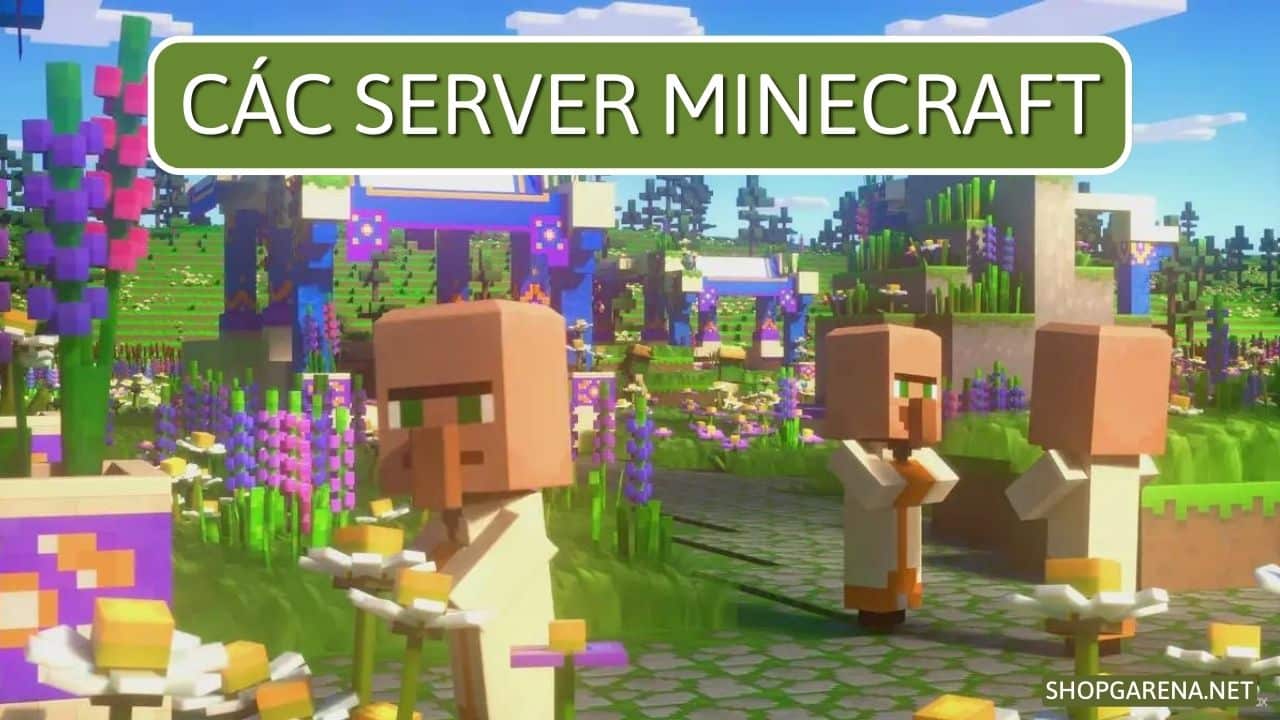 Các Server Minecraft