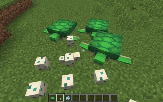 Cách lấy trứng rùa trong game Minecraft