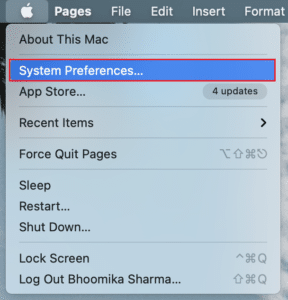Chọn System Preferences từ menu thả xuống