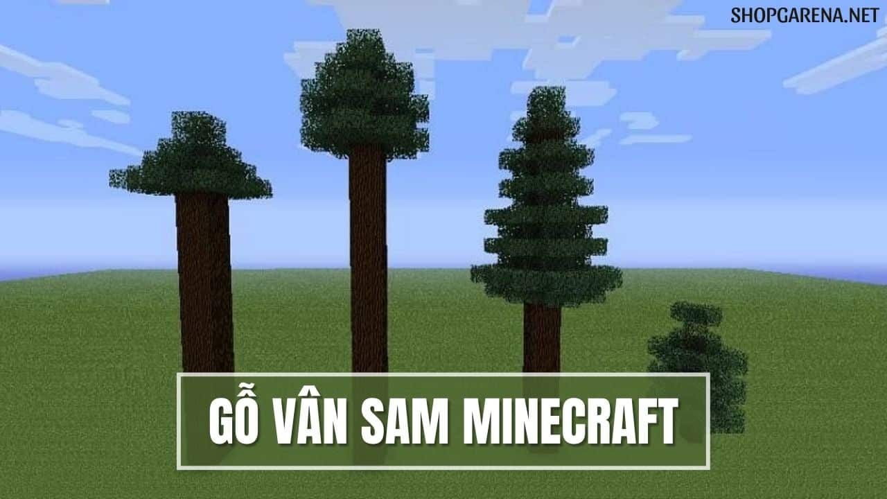 Gỗ Vân Sam Minecraft