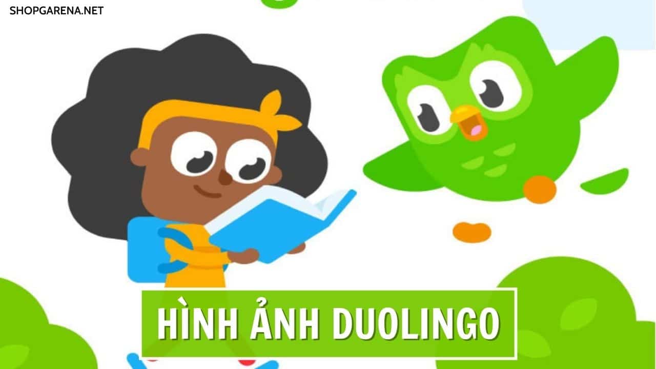 Hình Ảnh Duolingo
