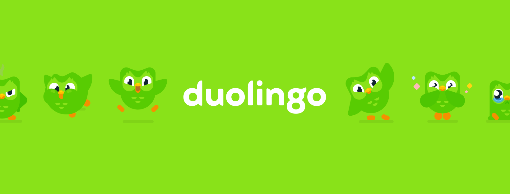 Hình Duolingo 4K chất lượng cao