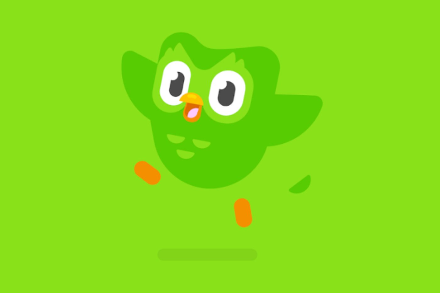 Hình Duolingo độc đáo