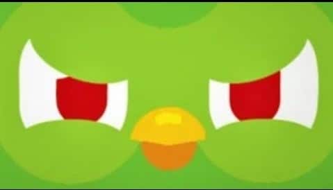 Hình Duolingo mắt đỏ độc lạ