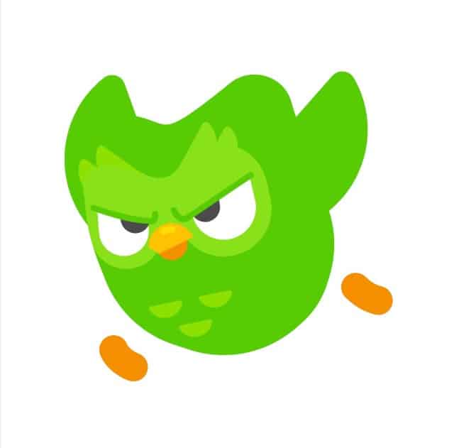 Hình Duolingo tức giận dễ thương nhất