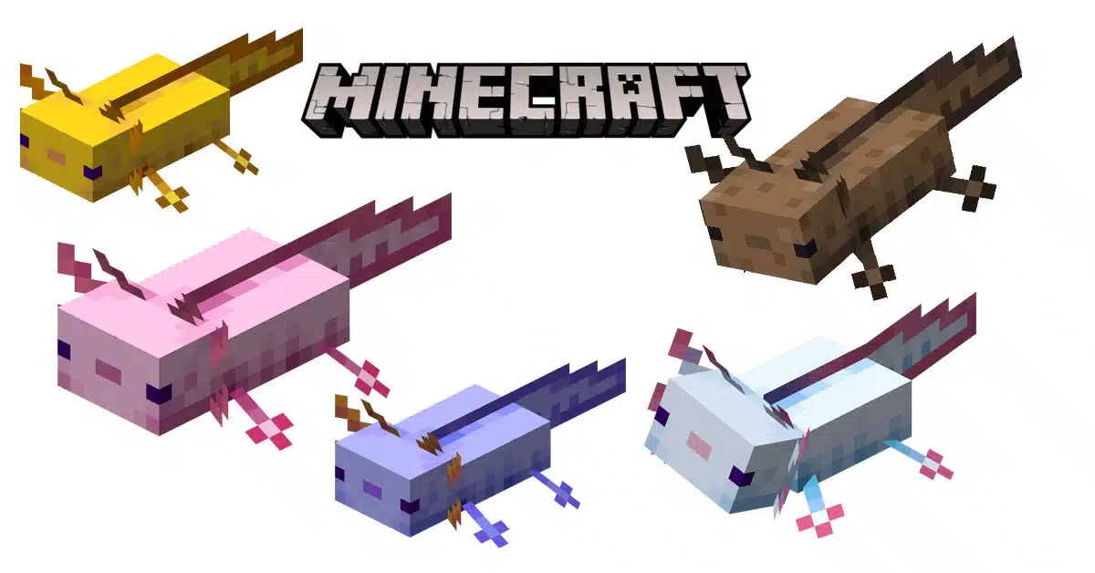Hình ảnh Axolotl Minecraft độc đáo