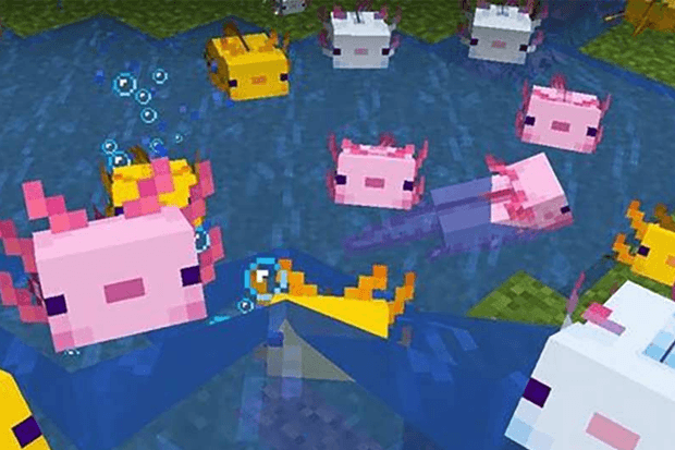 Hình ảnh Axolotl Minecraft ngộ nghĩnh