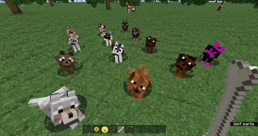 Hình ảnh các con vật trong Minecraft ngộ nghĩnh
