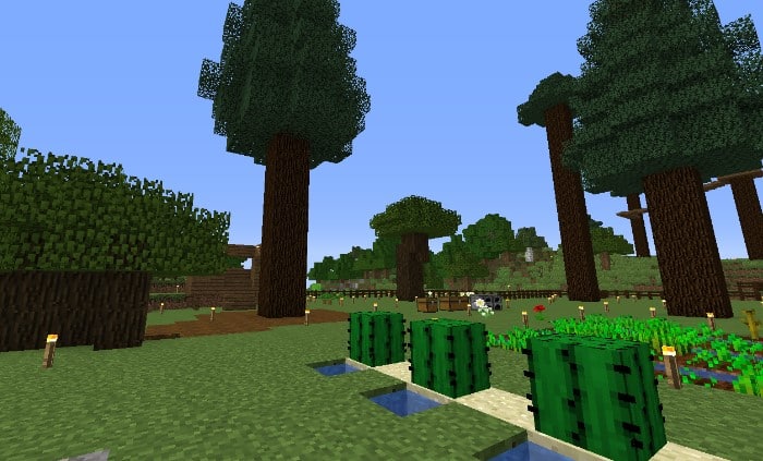 Hình ảnh cây gỗ Vân Sam trong Minecraft