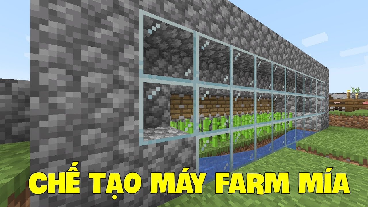 Hình ảnh máy farm mía Minecraft độc đáo