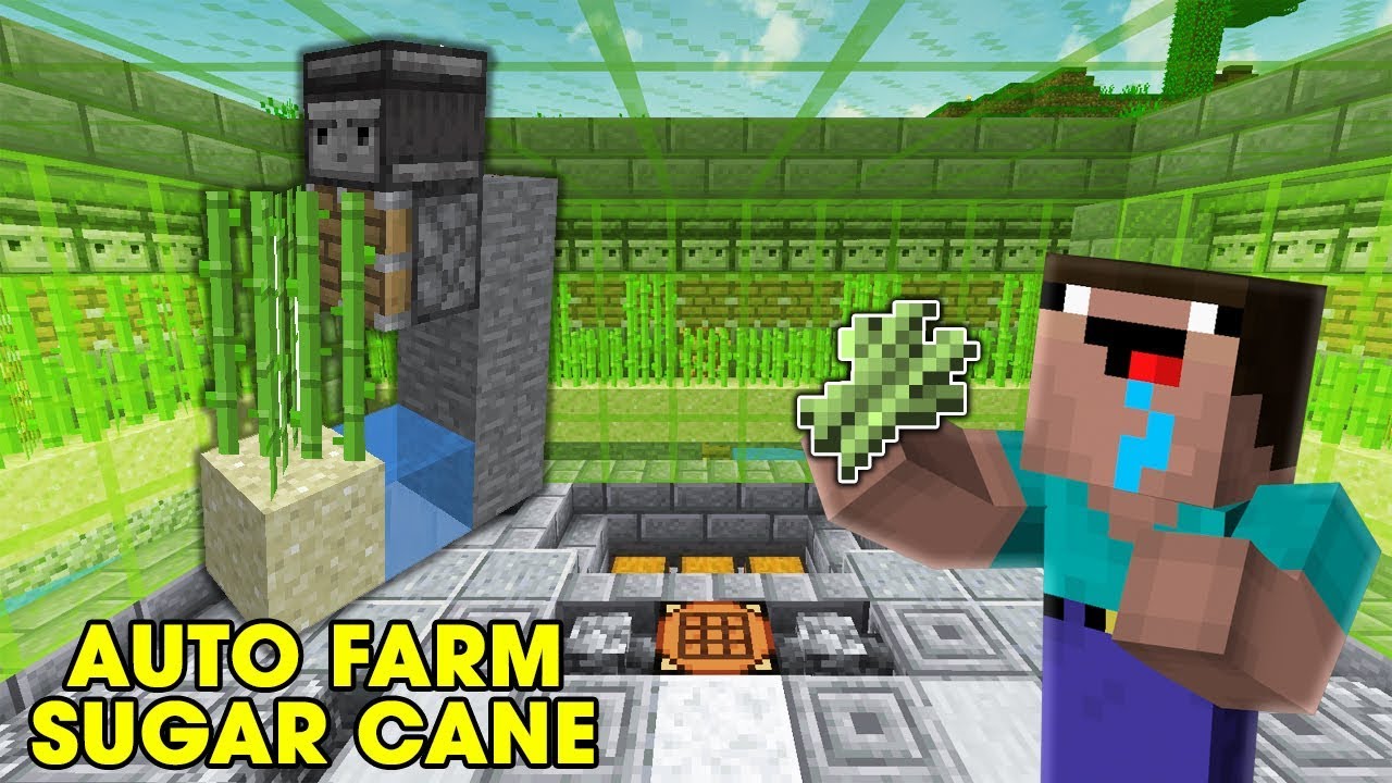 Hình ảnh máy farm mía Minecraft