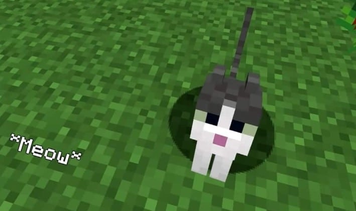 Hình ảnh mèo trong Minecraft cực đáng yêu