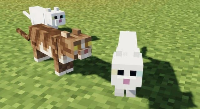 Hình ảnh mèo trong Minecraft đáng yêu