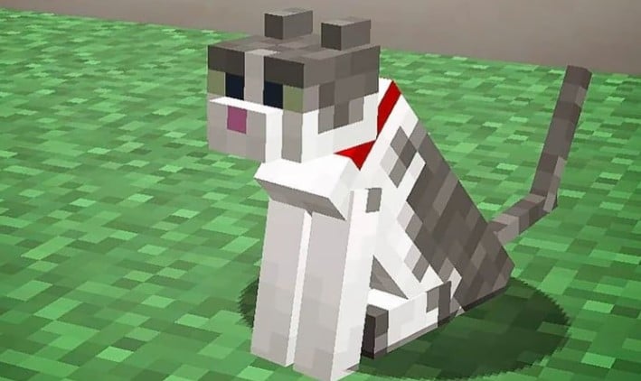 Hình ảnh mèo trong Minecraft dễ thương