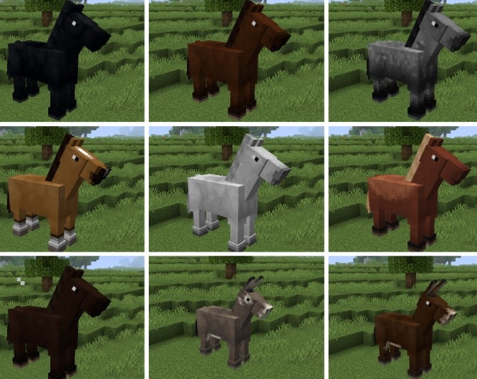 Hình ảnh ngựa trong Minecraft độc đáo