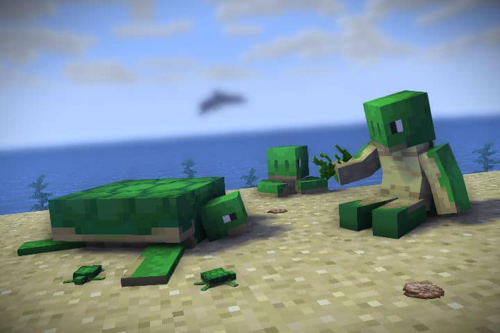 Hình ảnh rùa trong Minecraft độc đáo
