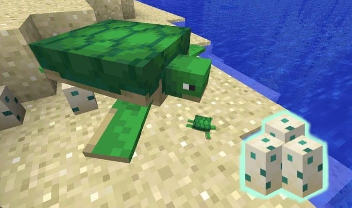 Hình ảnh rùa trong Minecraft
