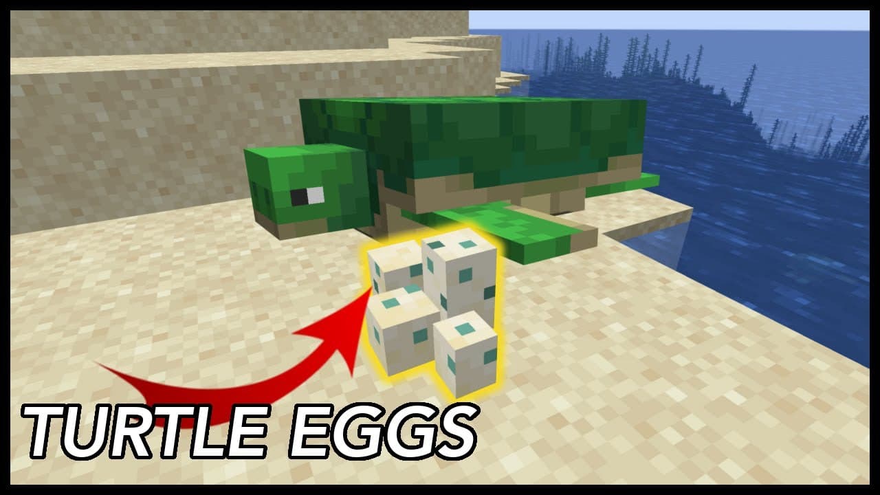 Hình ảnh trứng rùa trong Minecraft độc đáo