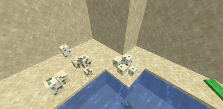 Hình ảnh trứng rùa trong Minecraft sinh động