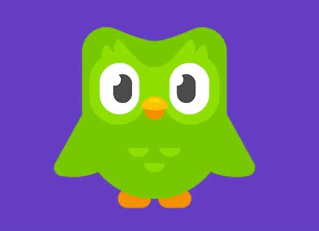 Hình avatar Duolingo ấn tượng
