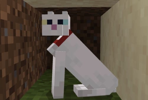 Hình avatar mèo Minecraft độc đáo