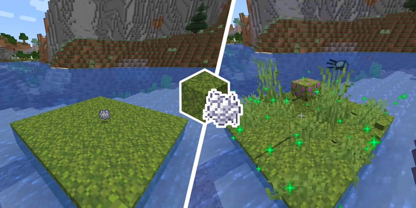 Hình các khối rêu trong Minecraft