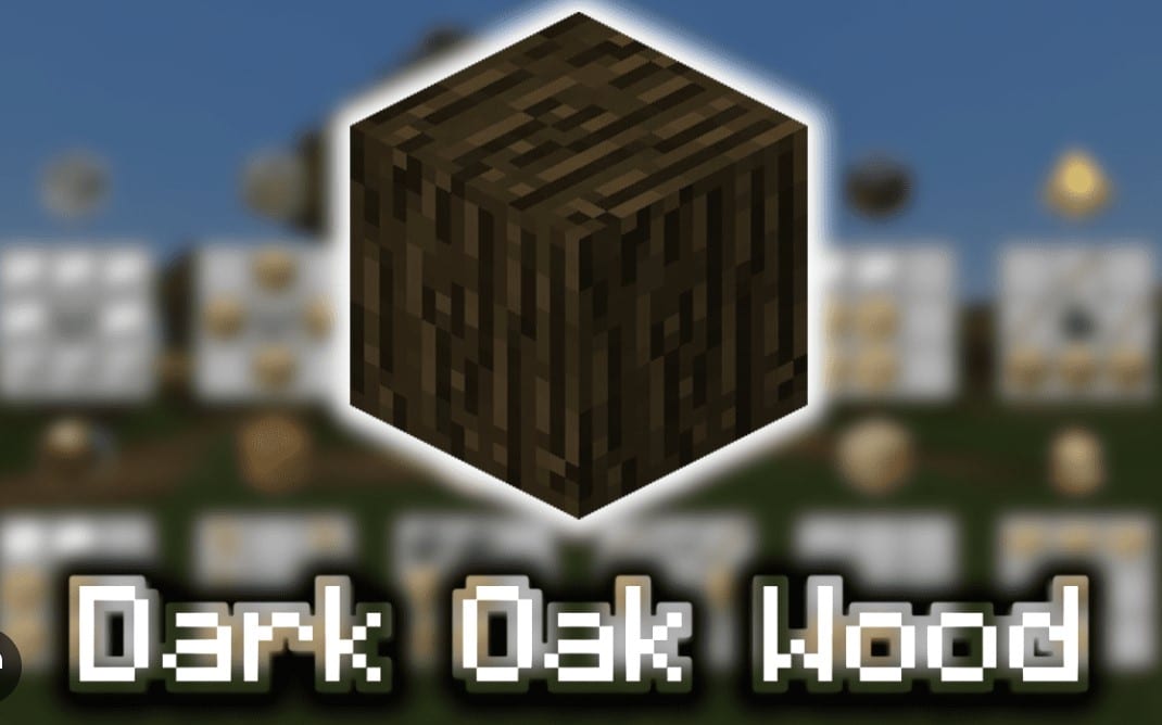 Hình cây gỗ Sồi Sẫm trong Minecraft độc đáo nhất