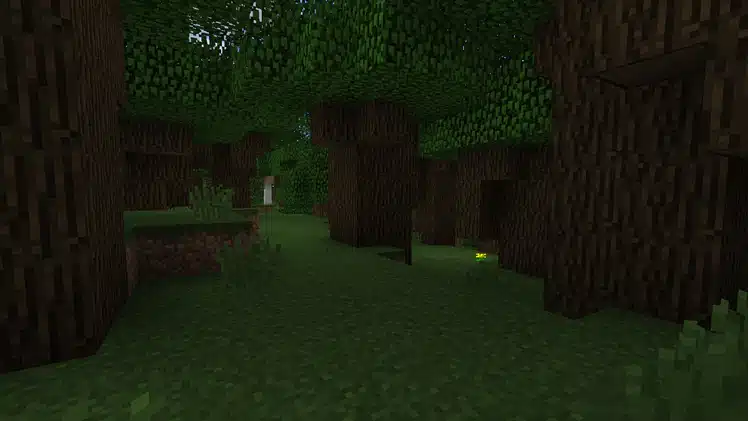 Hình cây gỗ Sồi Sẫm trong Minecraft độc đáo