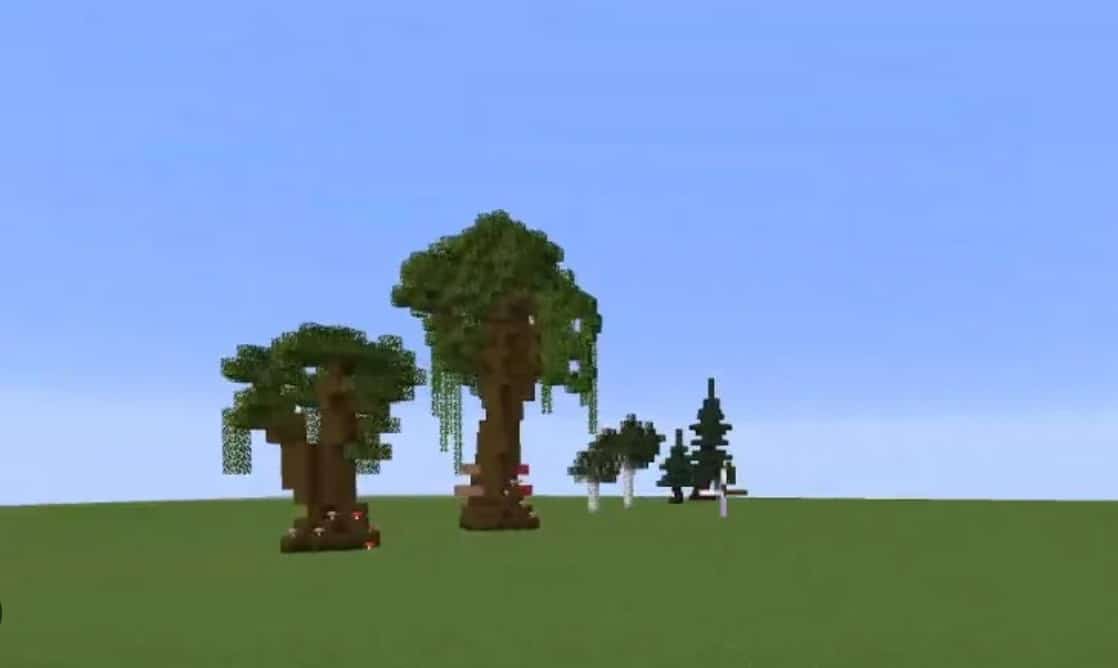 Hình cây gỗ Sồi Sẫm trong Minecraft mới nhất