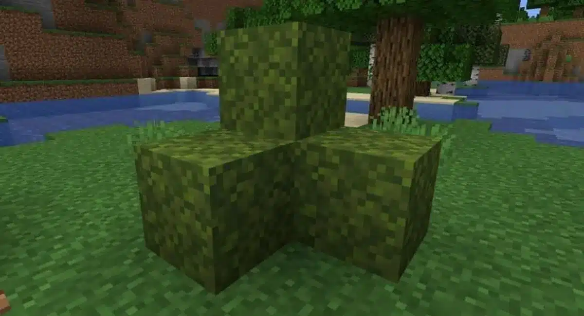 Hình những khối rêu trong Minecraft