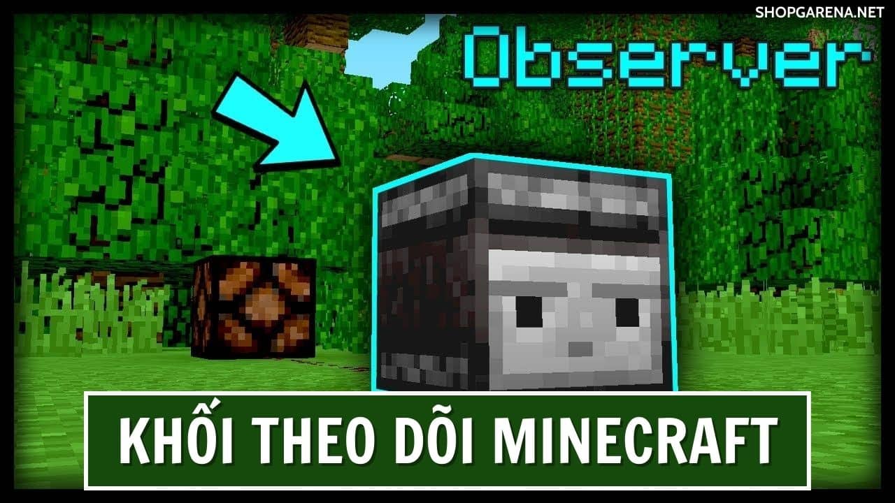 Khối Theo Dõi Minecraft