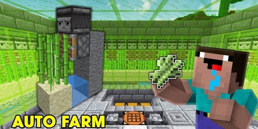 Làm máy farm mía Minecraft
