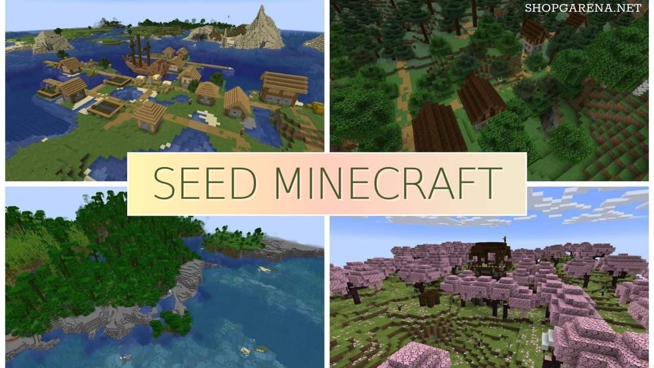 Seed Minecraft