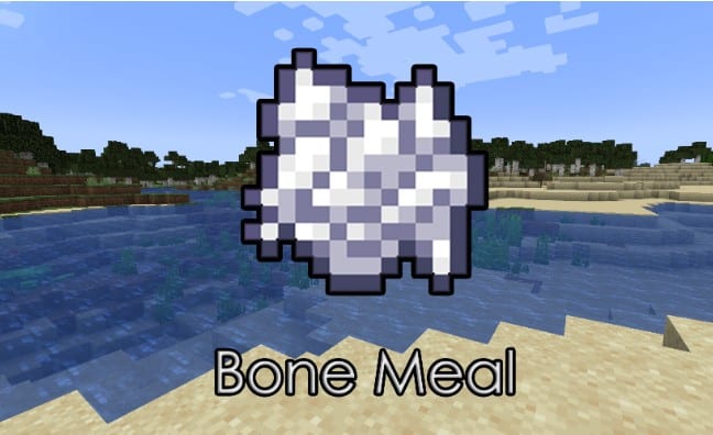 Sử dụng Bonemeal trong Minecraft