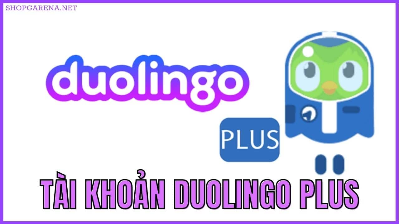 Tài Khoản Duolingo Plus
