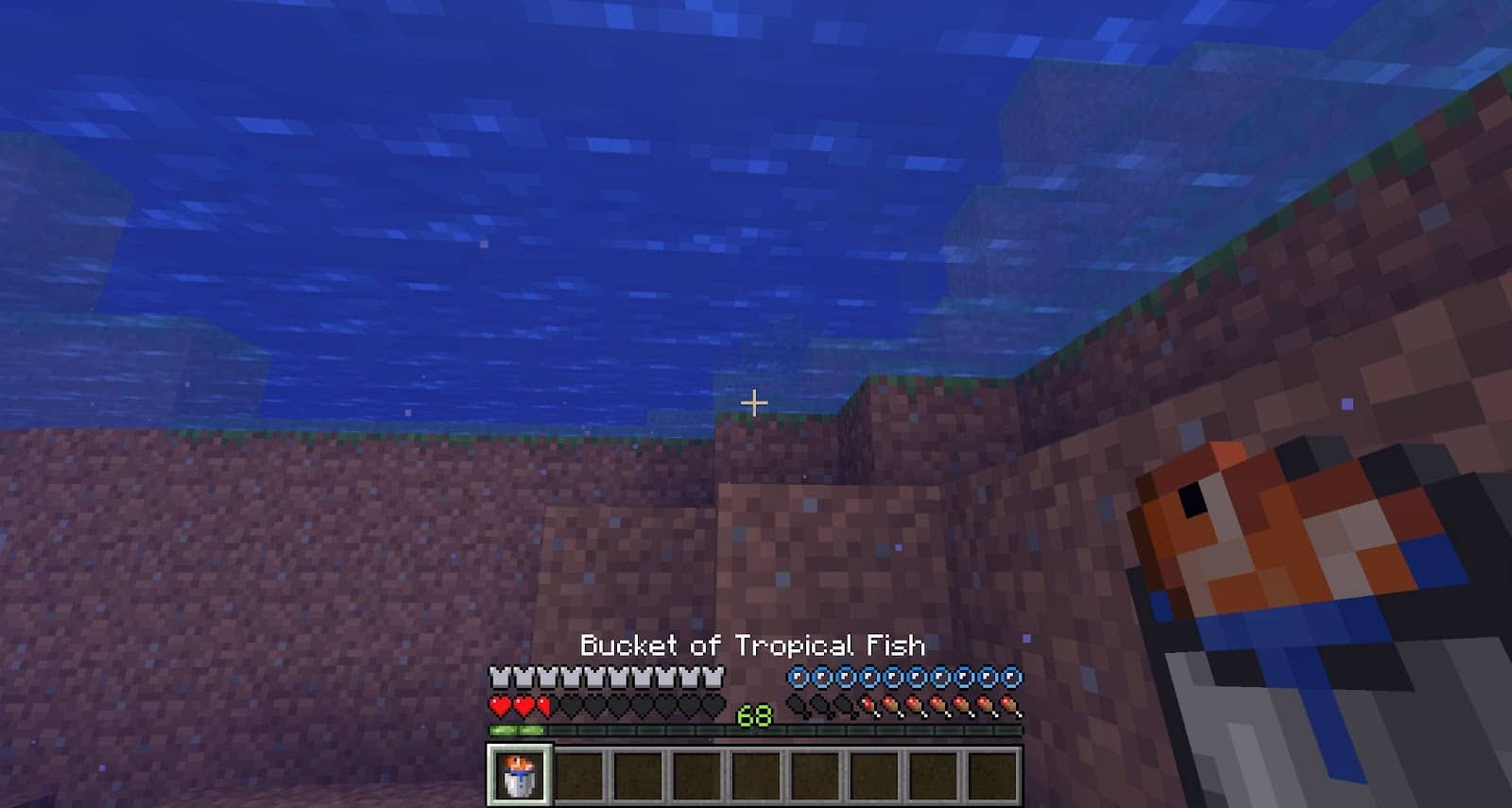Thả cá trong Minecraft