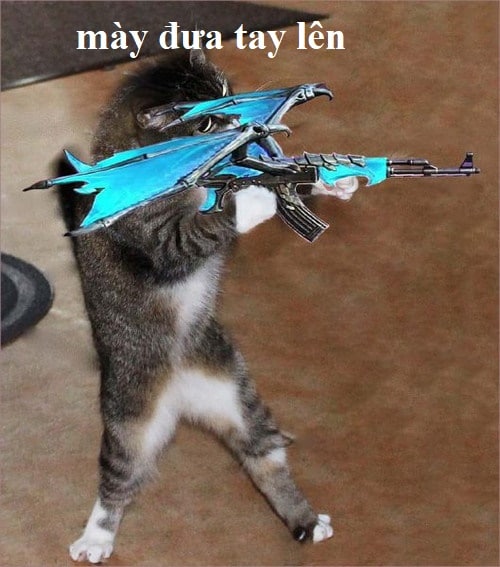 Ảnh mèo Meme Free Fire bắn súng