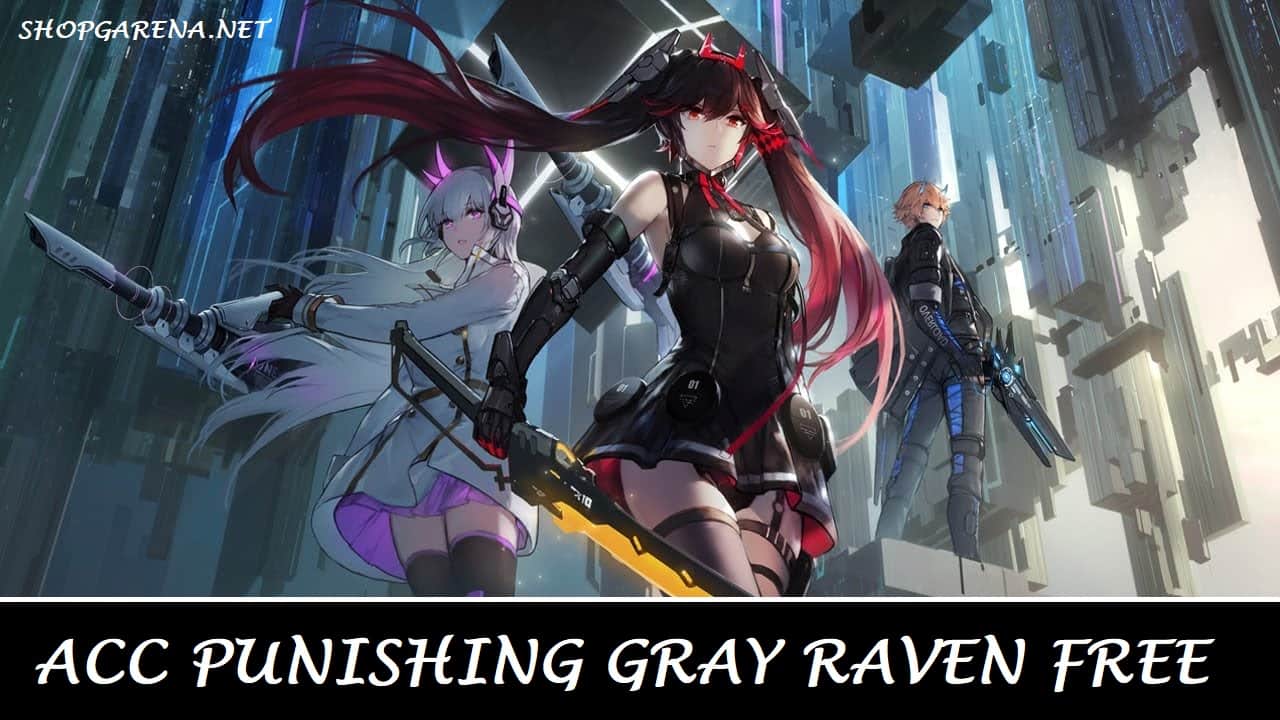 Acc Punishing Gray Raven