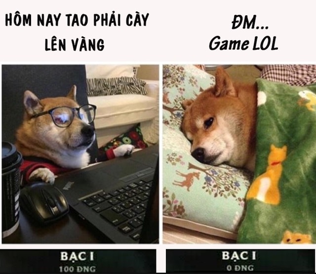 Meme Rank Liên Quân siêu lầy