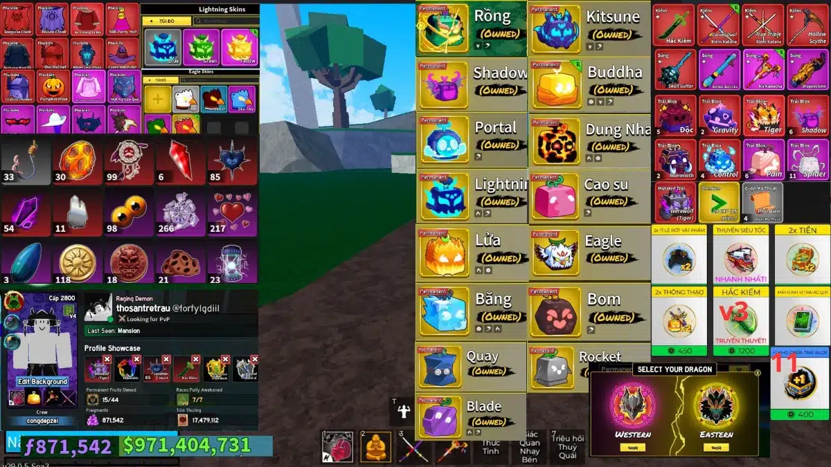 Acc blox fruit level 2800 free